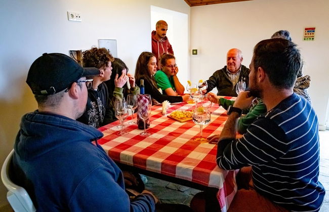 Casa dos Cal os in S o Mateus da Calheta - Photo 18