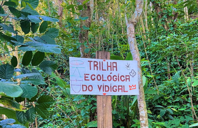 Morro Dois Irmãos Day Trip - Photo 7