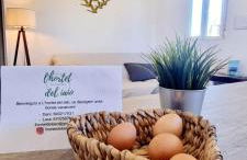 L'Hortet del iaio - Foto 6