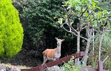 Bay View Apartment - Foto 6