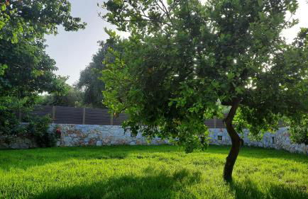 Creta Galini House - Foto 10