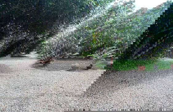 Luxury Glamping in Ruztico - Photo 28