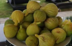 Villa Fabry - Foto 49