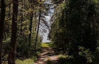 Charszówka - Foto 35