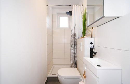 Kleiner Seestern - Foto 20