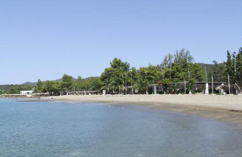 Ktima Develekou - Foto 45