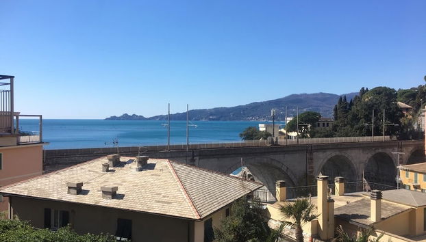 Pitosforo - Foto 2, Imagem principal