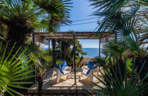 Finca Es Carregador - Photo 8