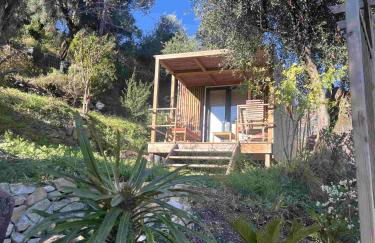 Le nid de l'oliveraie - Foto 4