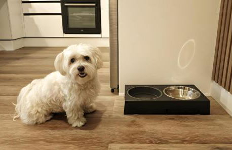 Apartamento Cumbre Loba - Foto 8