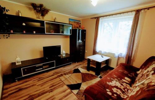 Bieszczadzkie domki z widokiem 793-903-243 - Foto 27