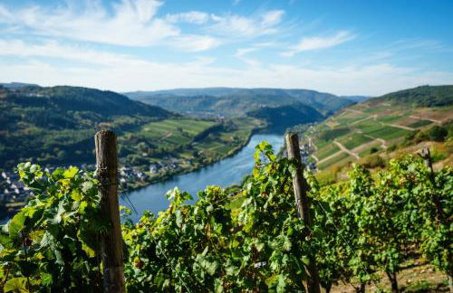 Haus Hanghuhn - Foto 37