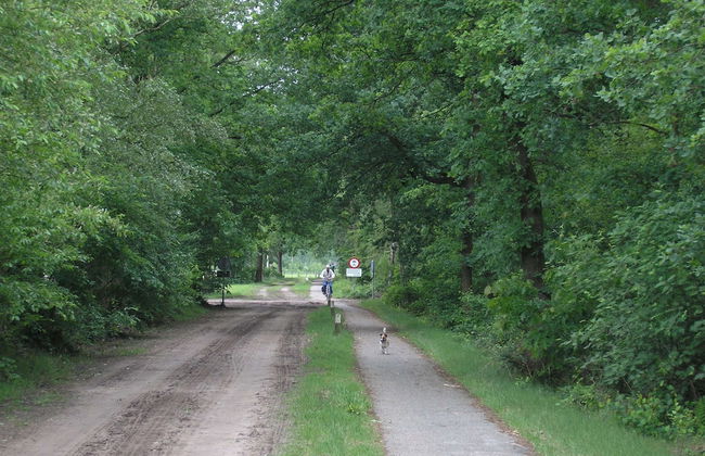 Holiday Home With Garden in Den Ham - Foto 39