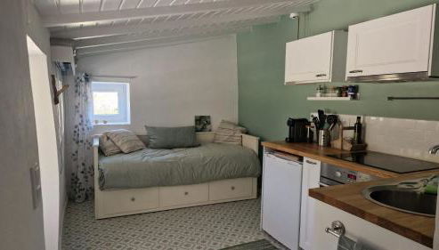 Gecko Pego Longo - Foto 5