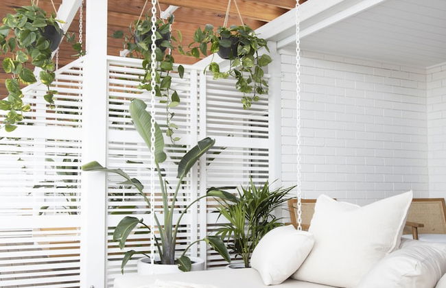 Crystal Pacific Palm Beach - Photo 9