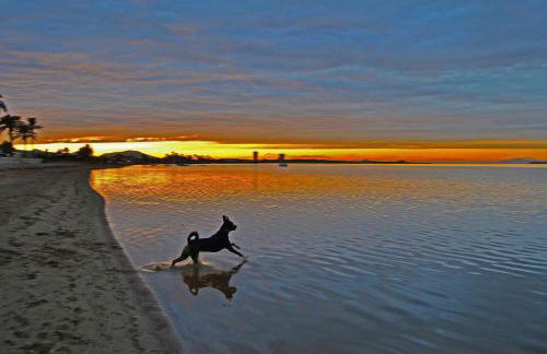 ShoreHouse Verdemar Dos Primera linea Playa Honda - Foto 28