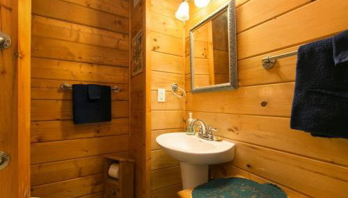 Blueberry Hill Cabin-Private, secluded cabin with a fireplace and New Hot Tub 2025 - Foto 3, towels, Shower