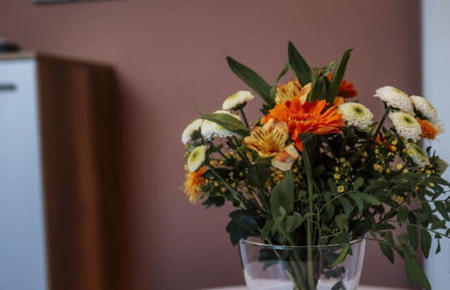 Holiday Apartment Swallow's Nest - Foto 16