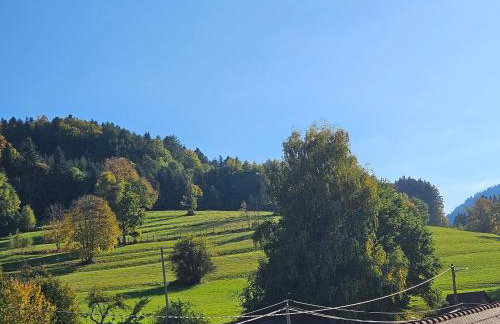 Gîte 4 à 10 Personnes avec sauna" La ferme des Sources" dans les Hautes Vosges - Foto 39