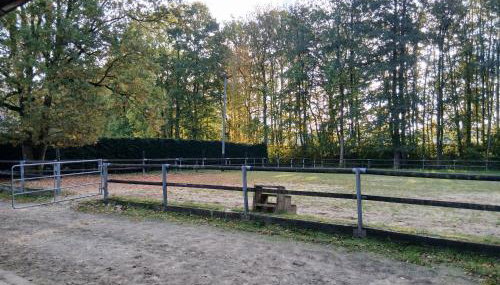 écurie de Saint Bale - Foto 3