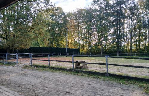écurie de Saint Bale - Foto 3