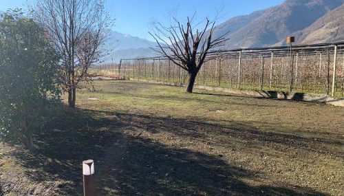 IL COMO' DELLA CIVETTA - Nido della Civetta - Photo 2