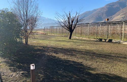 IL COMO' DELLA CIVETTA - Nido della Civetta - Foto 2