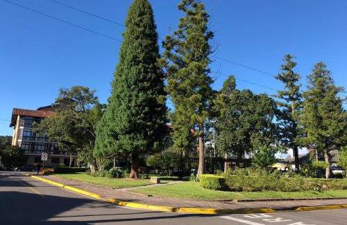 Apartamento Vicenza - Centro - Foto 22