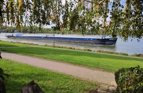 Rheinuferhaus - Foto 35