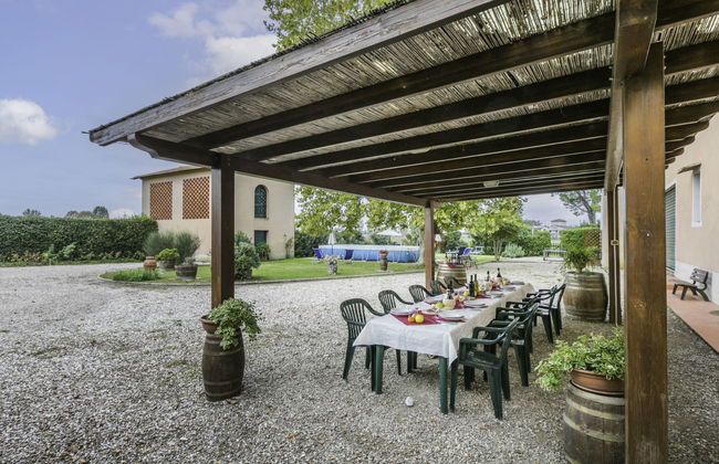 Scaletta + GIrasole - Foto 78