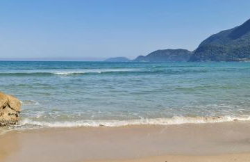 Will Container Experience - Foto 23