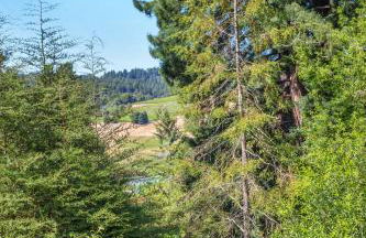 Stylish 3BR Retreat Close to Coast & Wineries - Foto 70