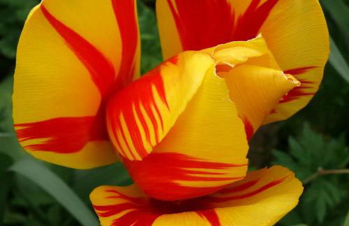 Casa vacanze Ester - Photo 10