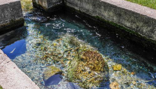 Creekside Fun Dog-friendly, Games & Fire Pit - Photo 2