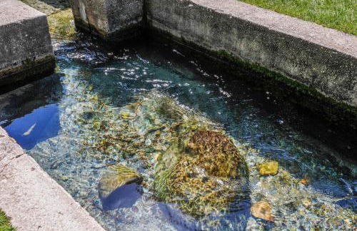 Creekside Fun Dog-friendly, Games & Fire Pit - Foto 2