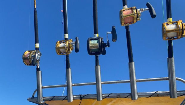 Experiencia de pesca deportiva en alta mar - Tour privado de medio día - Foto 2