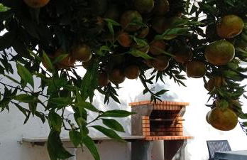 Apartment in Semeador - Foto 49