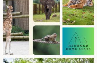 Family Friendly I Pets Welcome I Short Walk to Railway Station I 10min Drive to Safari Park - Foto 32