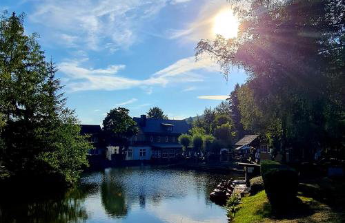 Urlaubsdomizil Am Töpfer - Ferienwohnungen in Olbersdorf - Foto 66