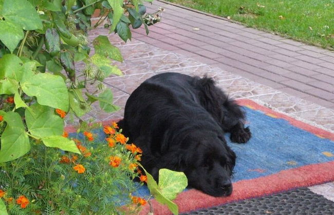 Villa in Krag Near Knight's Castle - Photo 20