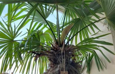 L'appartement du bonheur - Au Cœur des Volcans d'Auvergne sur la Route du Sud - Foto 48