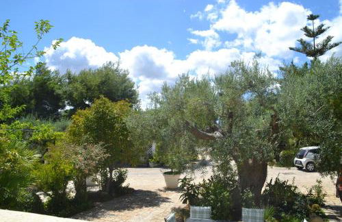 Agriturismo Salinola - Foto 20