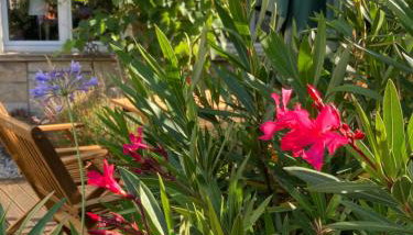 Ferienwohnung Sonja am Weinberg - Foto 5