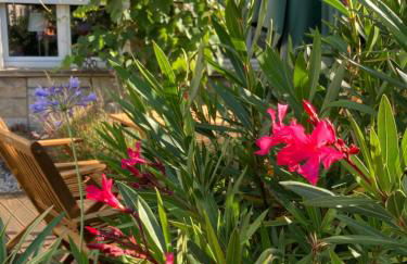 Ferienwohnung Sonja am Weinberg - Foto 8