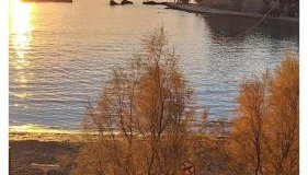 Sunshower apartment and studio - Photo 5