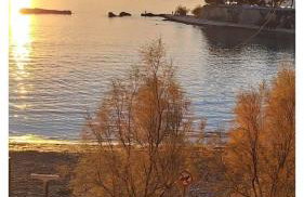 Sunshower apartment and studio - Photo 5