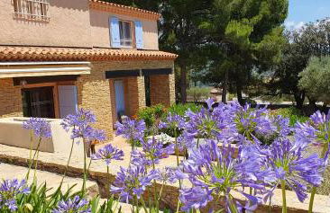 Le Mas des Vignes - Foto 19