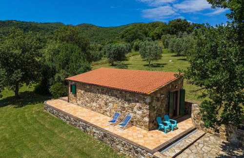 Poggio Diavolino - Suvereto - Foto 24