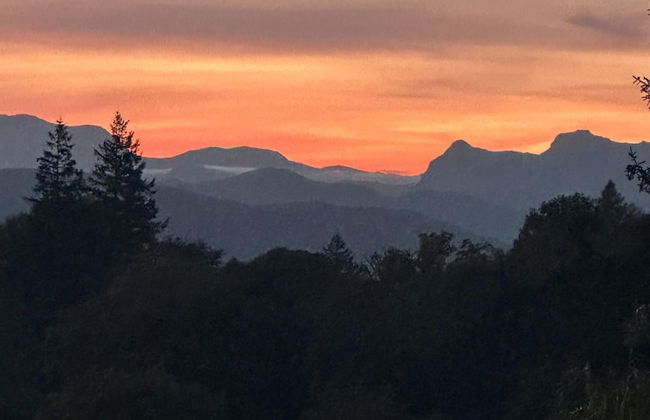 Windermere Hillthwaite Hotel - Foto 1