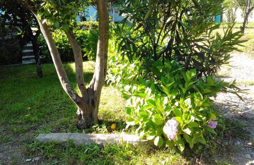 Casa Do Fiscal - Foto 24